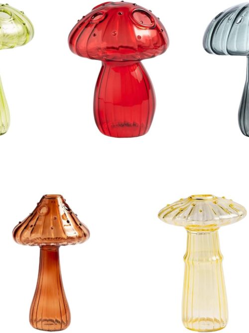 https://miascozycorner.com/wp-content/uploads/2023/08/Mushroom-Vase-Set-of-5-Colorful-Mushroom-Glass-Bud-Vases-Small-Vases-for-Flowers-Glass-Plant-Pot-500x667.jpg